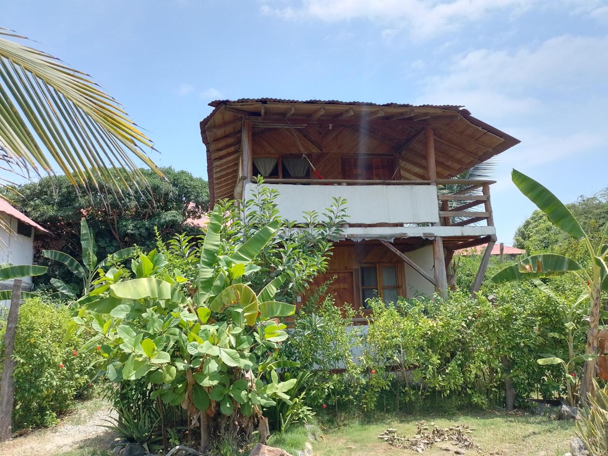 Hotel Palma Coco アヤンペ エクステリア 写真