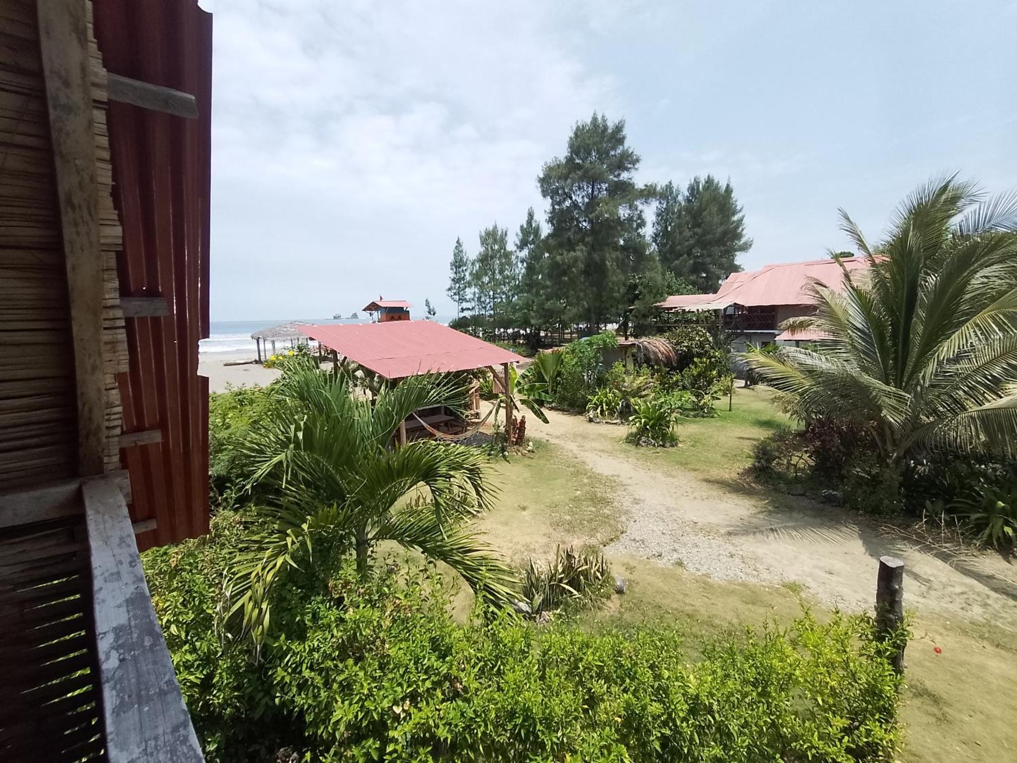 Hotel Palma Coco アヤンペ エクステリア 写真