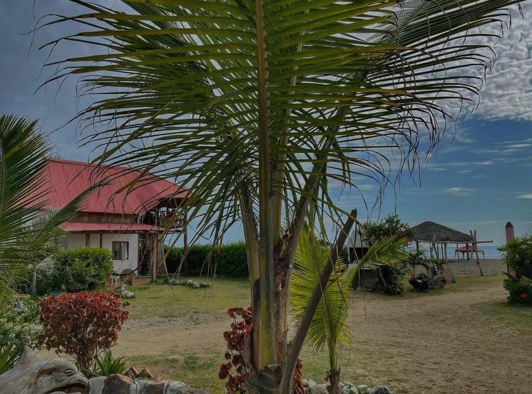 Hotel Palma Coco アヤンペ エクステリア 写真